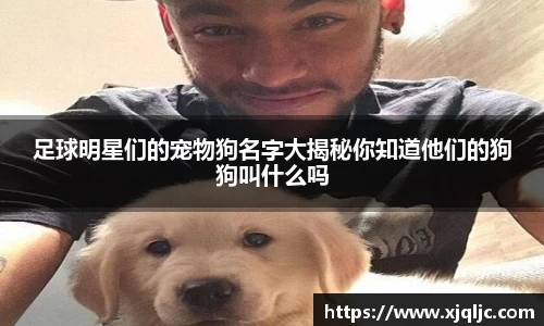 足球明星们的宠物狗名字大揭秘你知道他们的狗狗叫什么吗